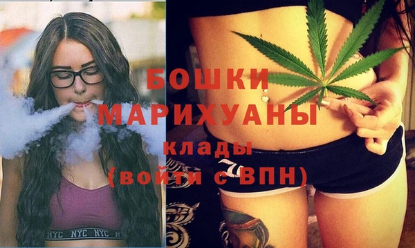 прущие крисы Ельня