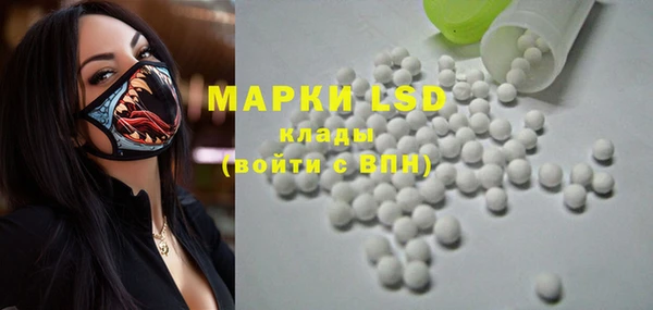прущие крисы Ельня