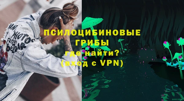 прущие крисы Ельня