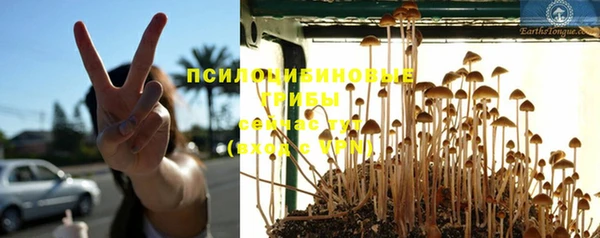 герыч Елабуга