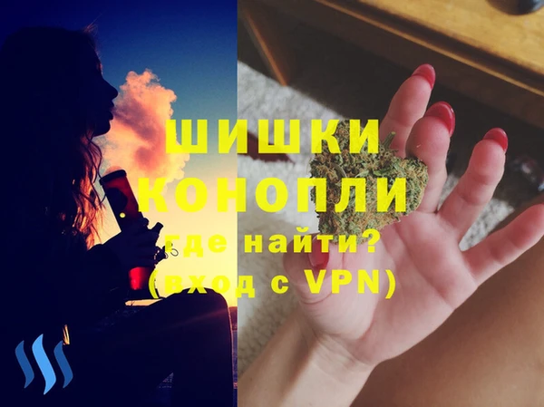 прущие крисы Ельня